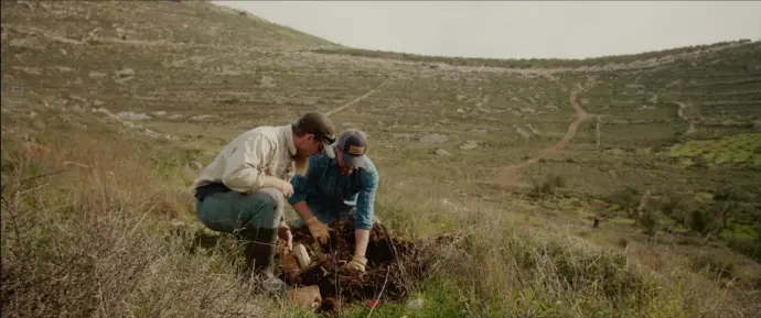 The Greening Israel team plants a tree