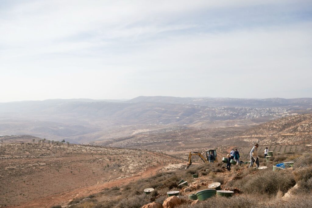 Volunteers plant trees on a barren hillside in Israel