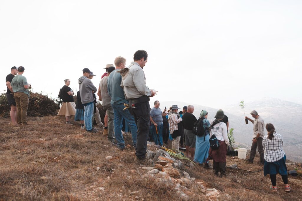 A group of volunteers gathers to plant trees on a mountainside in Israel