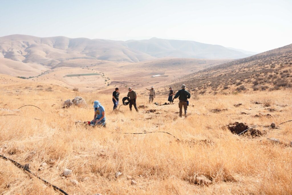 volunteer planting trees on hillsides on israel