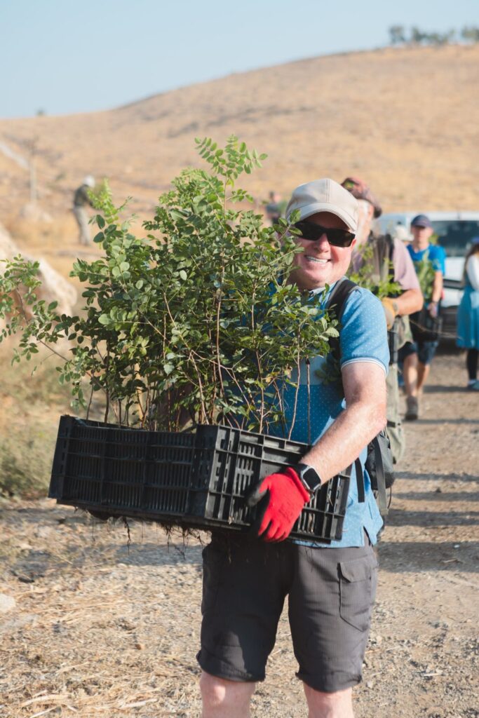 How to plant a tree in Israel